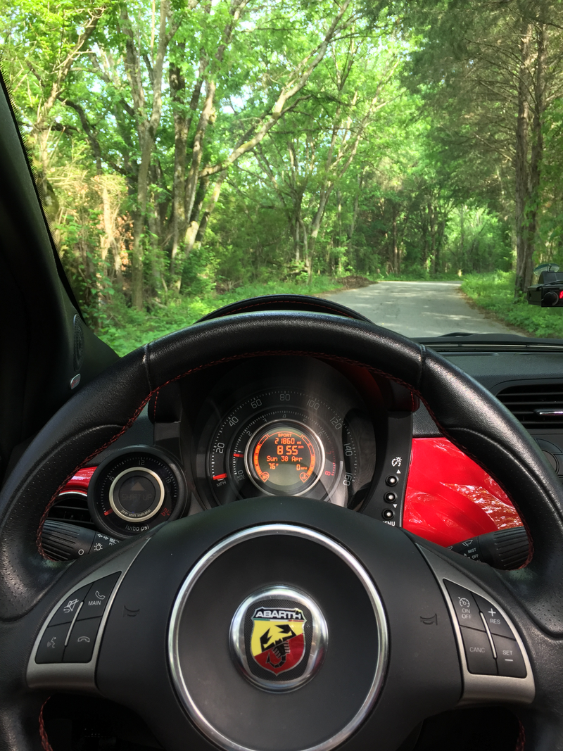 Illustration for article titled Fiat & FoliageĀ